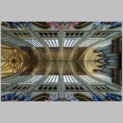 Orleans, photo by Boris Roman Mohr, flickr.jpg